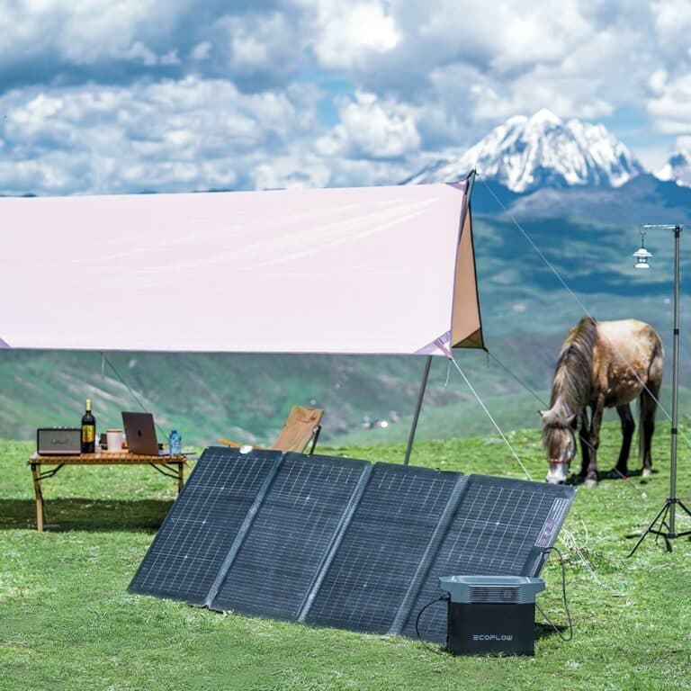 Batterie nomade solaire Delta 2 d'Ecoflow Vue scene outdoor