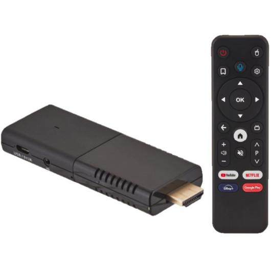 ANTARION STICK ANDROID 10.0 de Captivan : transformez votre téléviseur de camping-car en Smart TV avec Netflix et plus encore !